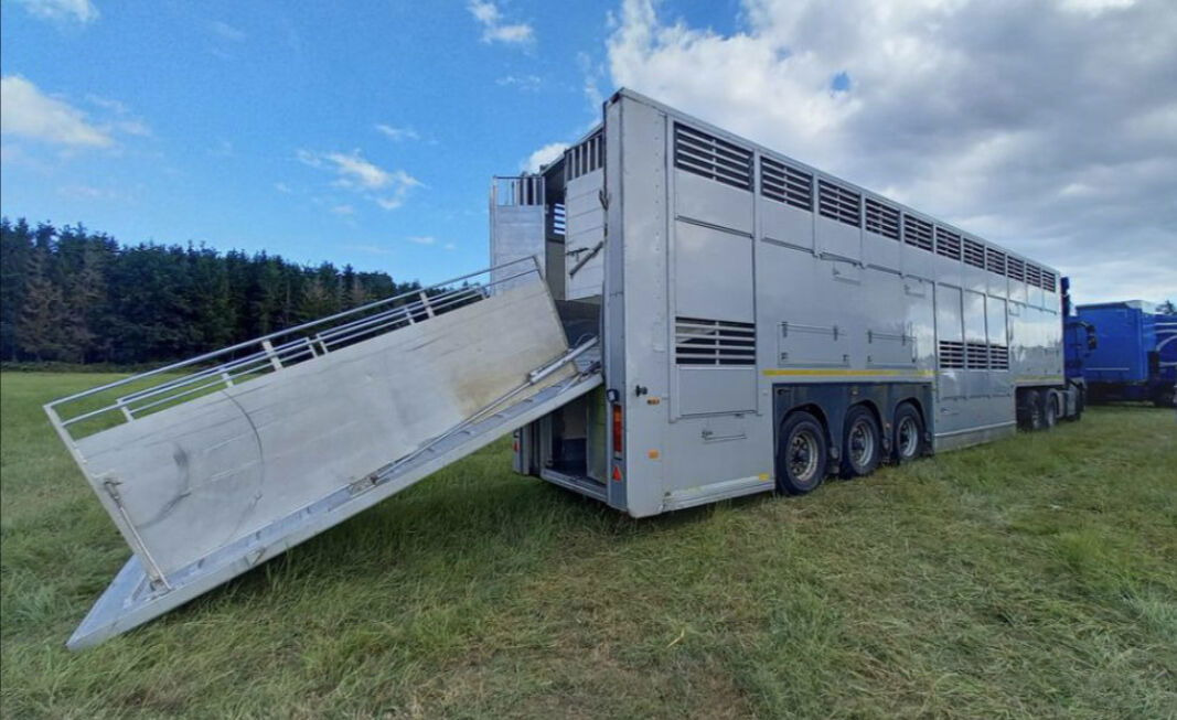 Gray and Adams Gadd3 / Works Great / Hydraulic / 2 Levels - Semiremorcă transport animale: Foto 2 Gray and Adams Gadd3 / Works Great / Hydraulic / 2 Levels - Semiremorcă transport animale: Foto 2