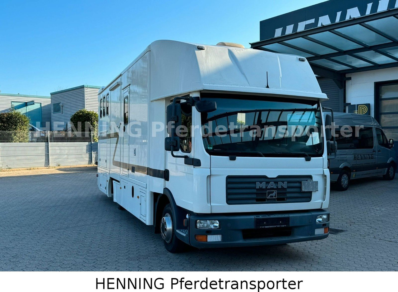 MAN TGL 8.180 4x2 - Camion transport animale: Foto 3 MAN TGL 8.180 4x2 - Camion transport animale: Foto 3