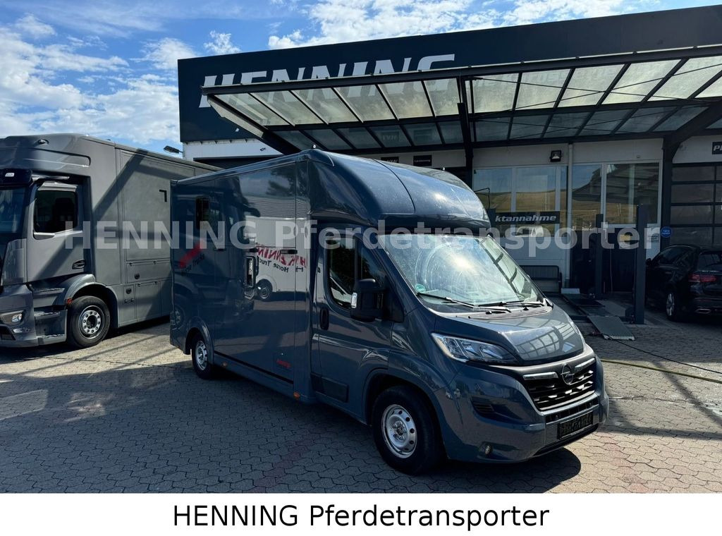 Opel Movano 3 - Sitzer *AUFBAU NEU* Opel Movano 3 - Sitzer *AUFBAU NEU* - Camion transport cai: Foto 1 Opel Movano 3 - Sitzer *AUFBAU NEU* Opel Movano 3 - Sitzer *AUFBAU NEU* - Camion transport cai: Foto 1