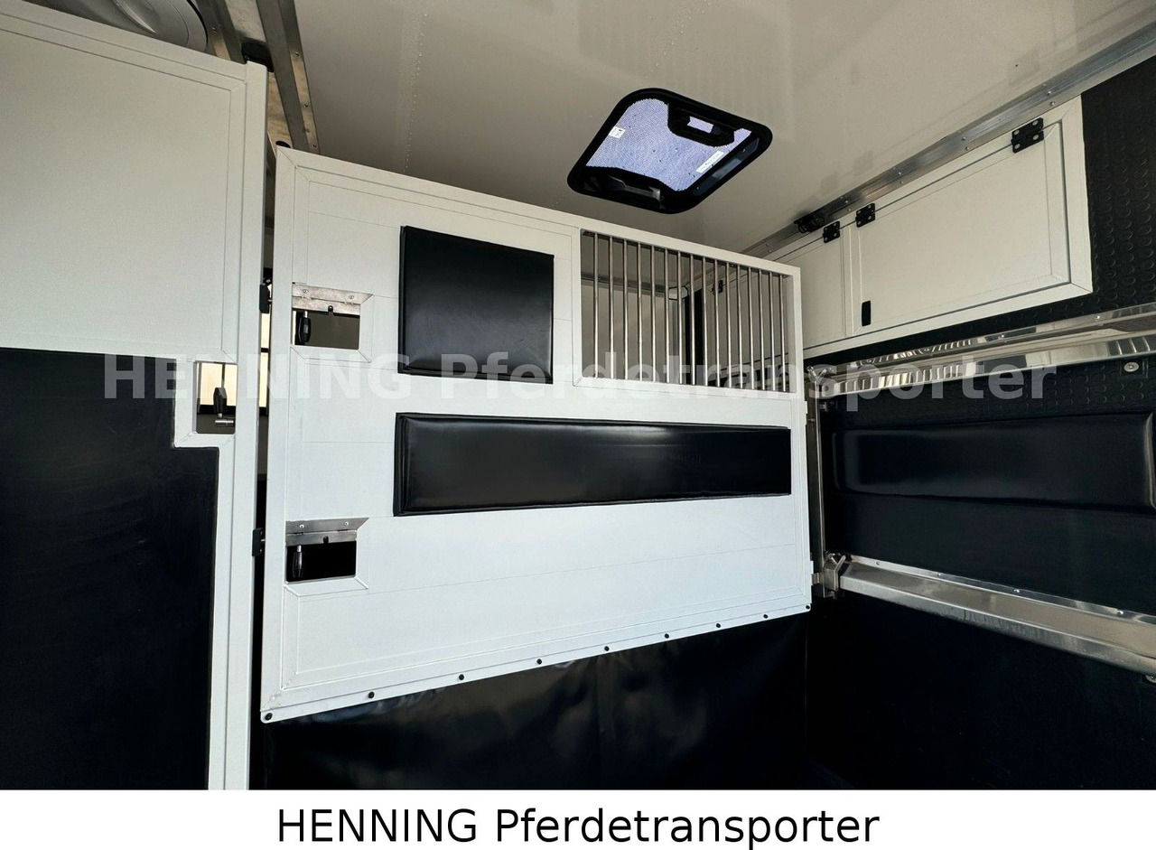 Renault Master 3 - Sitzer *NEUES MODELL* - Camion transport animale: Foto 5 Renault Master 3 - Sitzer *NEUES MODELL* - Camion transport animale: Foto 5