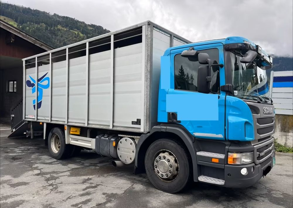 Scania P280 4x2 – Pojazd do przewozu zwierząt VIEHFAHRZEUG / jednopoziomowy – 171.000 km!! – Euro 5 - Camion transport animale: Foto 2 Scania P280 4x2 – Pojazd do przewozu zwierząt VIEHFAHRZEUG / jednopoziomowy – 171.000 km!! – Euro 5 - Camion transport animale: Foto 2