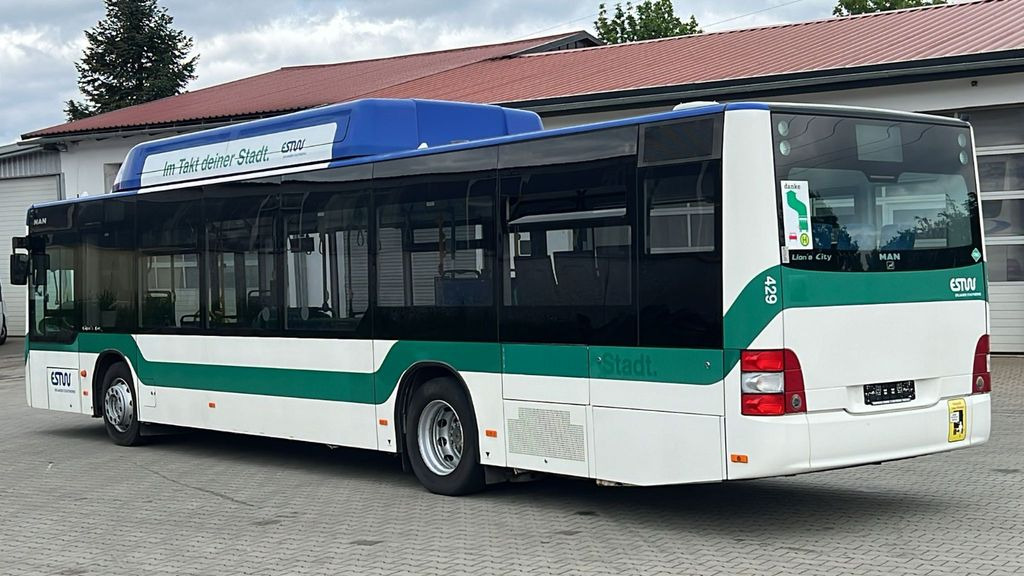 MAN A 21 CNG Euro 5 EEV MAN A 21 CNG Euro 5 EEV - Autobuz urban: Foto 5 MAN A 21 CNG Euro 5 EEV MAN A 21 CNG Euro 5 EEV - Autobuz urban: Foto 5