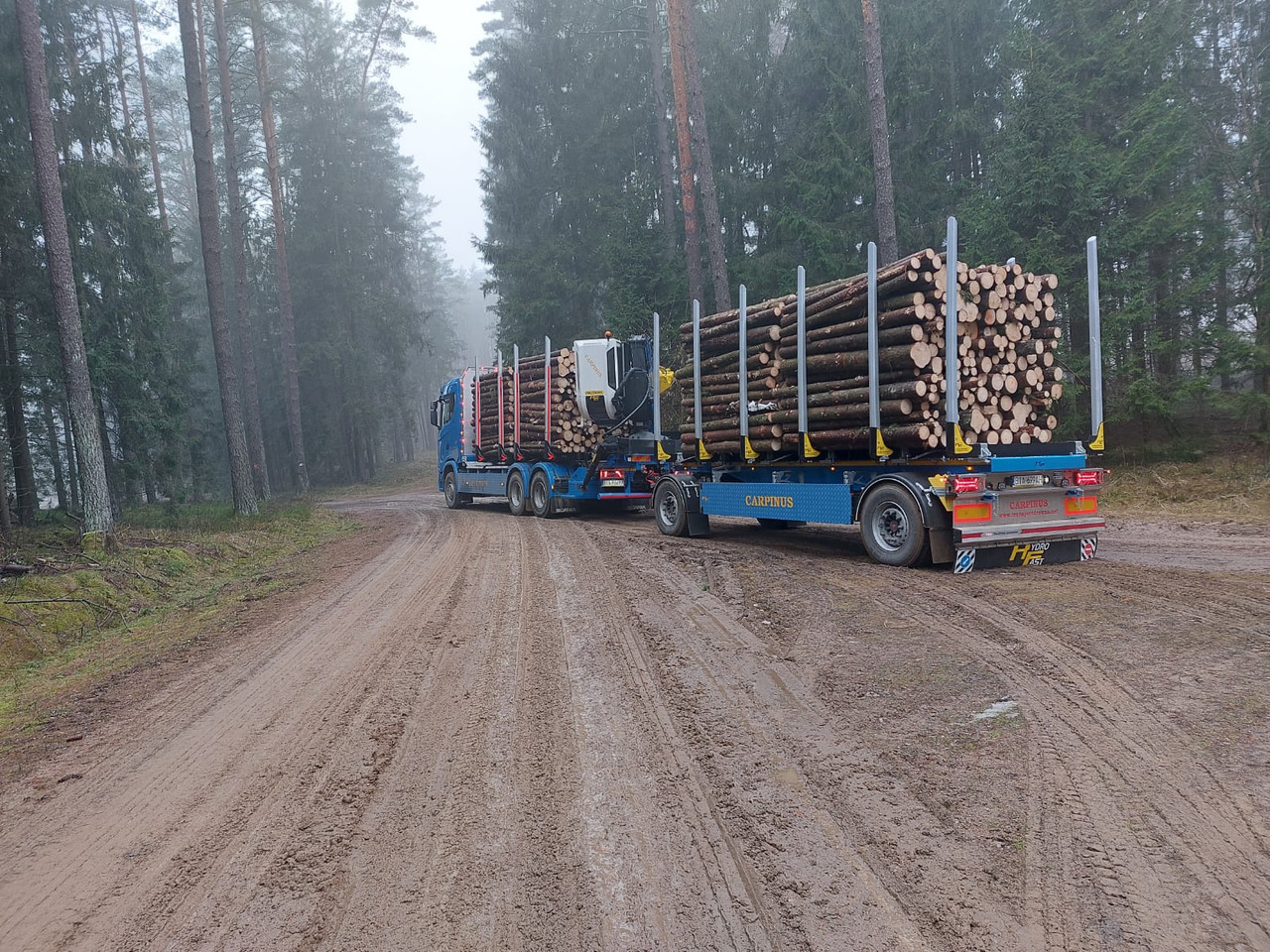 Hydrofast Przyczepa 2 osiowa do drewna stosowego HFP2/2-axle timber trailer HFP2 - Remorcă transport busteni: Foto 3 Hydrofast Przyczepa 2 osiowa do drewna stosowego HFP2/2-axle timber trailer HFP2 - Remorcă transport busteni: Foto 3