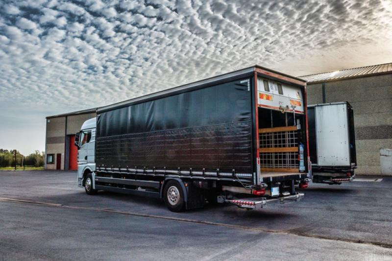 MAN TGX 18.400 XLX+HAYON - Camion cu prelată: Foto 4 MAN TGX 18.400 XLX+HAYON - Camion cu prelată: Foto 4