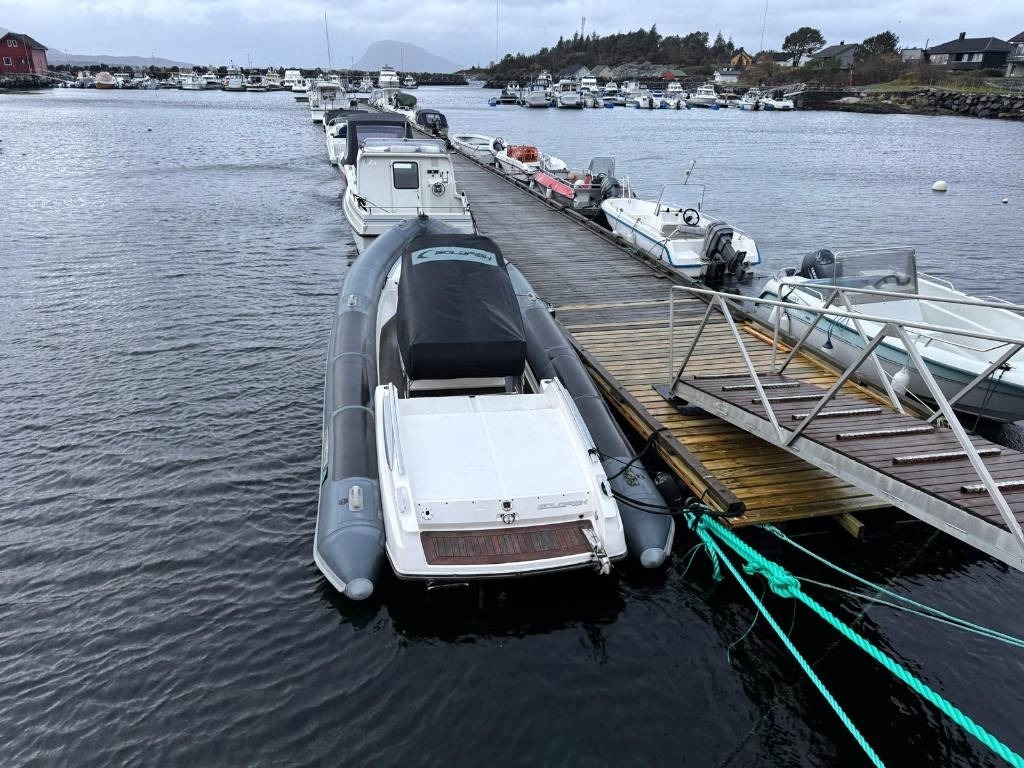 Annet Goldfish Tender 25 - Alte utilaje: Foto 3 Annet Goldfish Tender 25 - Alte utilaje: Foto 3