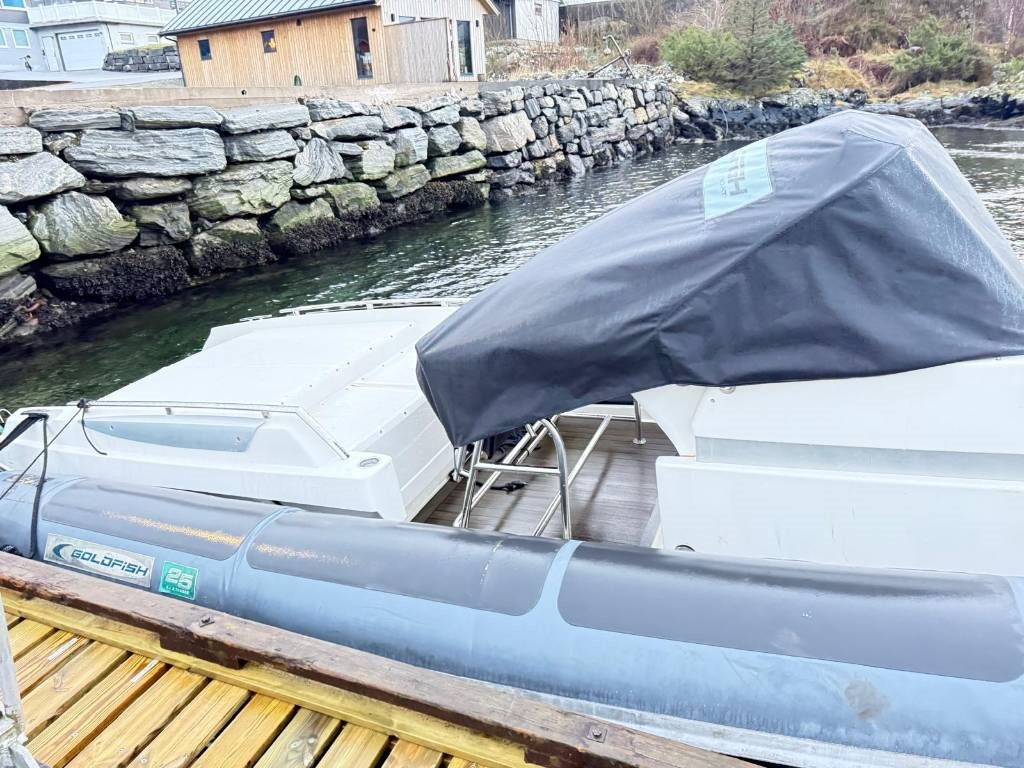 Annet Goldfish Tender 25 - Alte utilaje: Foto 5 Annet Goldfish Tender 25 - Alte utilaje: Foto 5