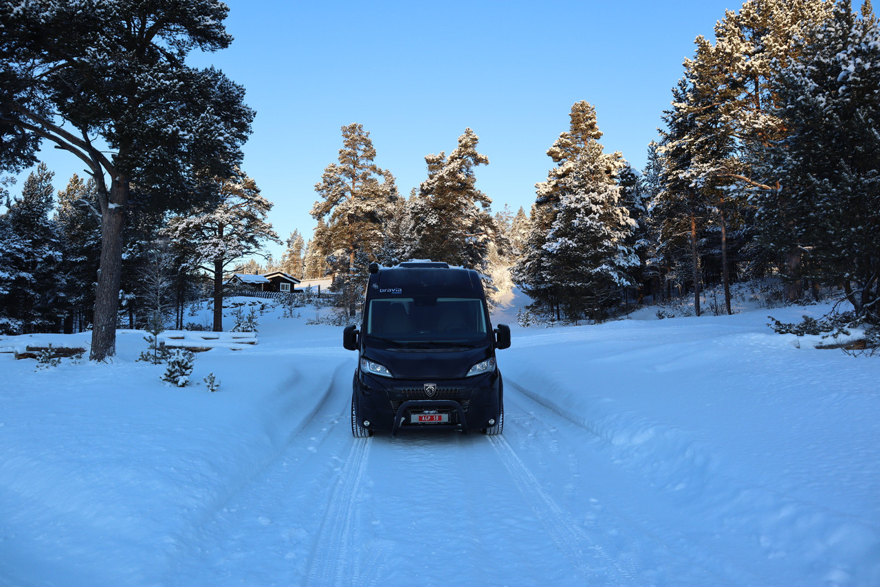 Bravia Swan 599 Nordic - Camper van: Foto 3 Bravia Swan 599 Nordic - Camper van: Foto 3