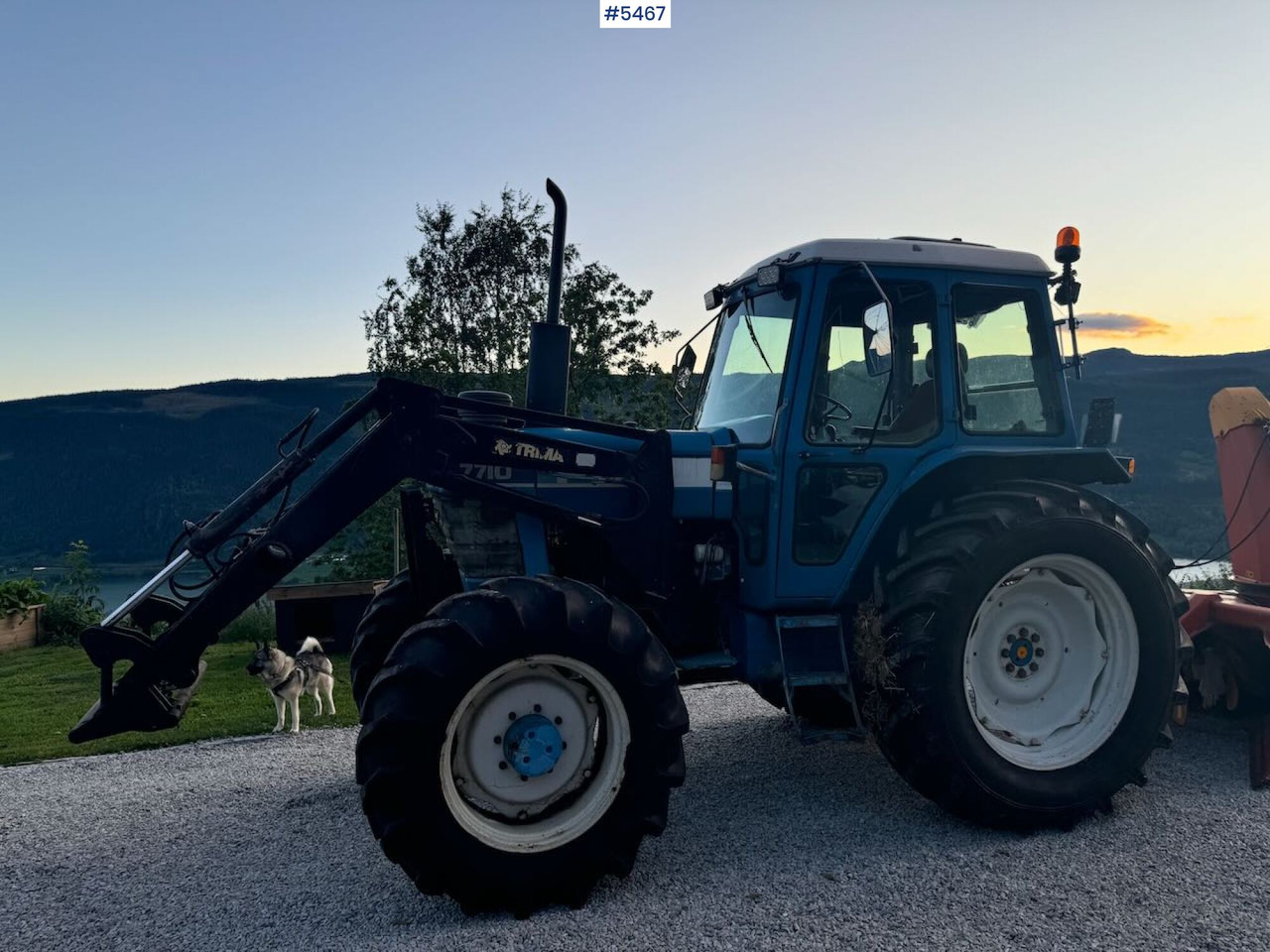 1983 Ford 7710 4x4 w/ frontloader în leasing 1983 Ford 7710 4x4 w/ frontloader: Foto 10 1983 Ford 7710 4x4 w/ frontloader în leasing 1983 Ford 7710 4x4 w/ frontloader: Foto 10