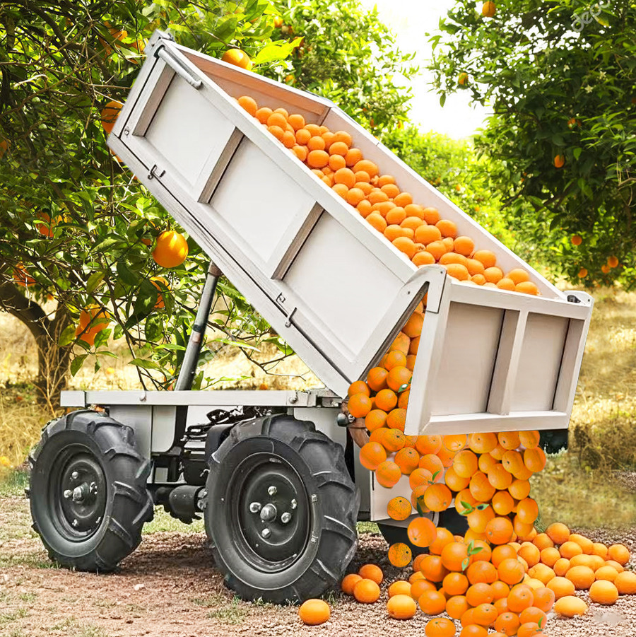 LEZUM Electric Remote Control Transporter Agricultural Orchard Farm Electric Utv Material Handling Equipment All Terrain Transport Vehicle - Atv: Foto 4 LEZUM Electric Remote Control Transporter Agricultural Orchard Farm Electric Utv Material Handling Equipment All Terrain Transport Vehicle - Atv: Foto 4