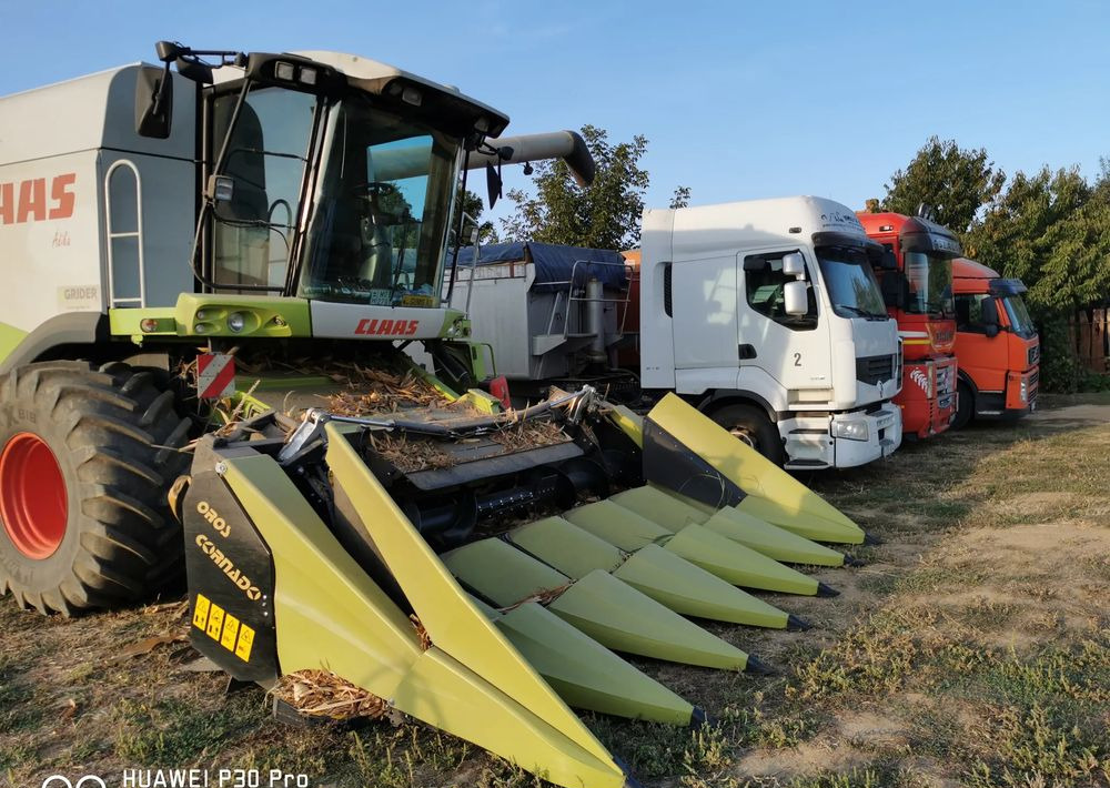 Oros Cornado 6 4+2R Nowa Przystawka do kukurydzy - Heder de recoltat porumb: Foto 3 Oros Cornado 6 4+2R Nowa Przystawka do kukurydzy - Heder de recoltat porumb: Foto 3