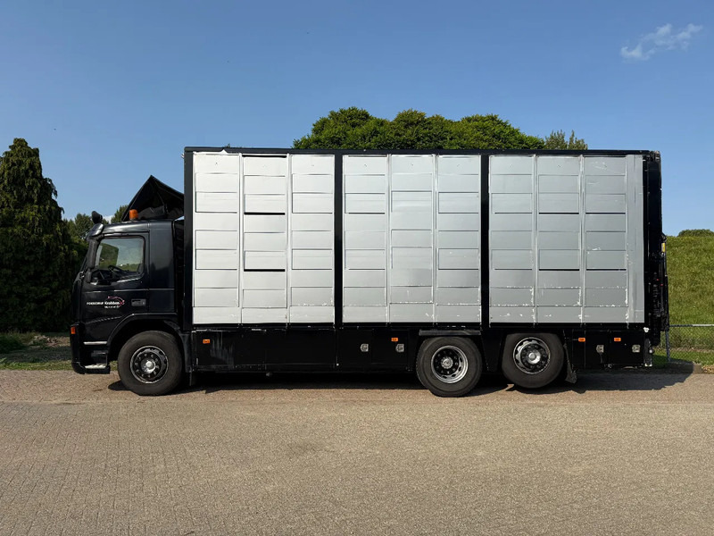 Volvo FM 300 Livestock Cuppers 3 laags 6x2 - Camion transport animale: Foto 4 Volvo FM 300 Livestock Cuppers 3 laags 6x2 - Camion transport animale: Foto 4