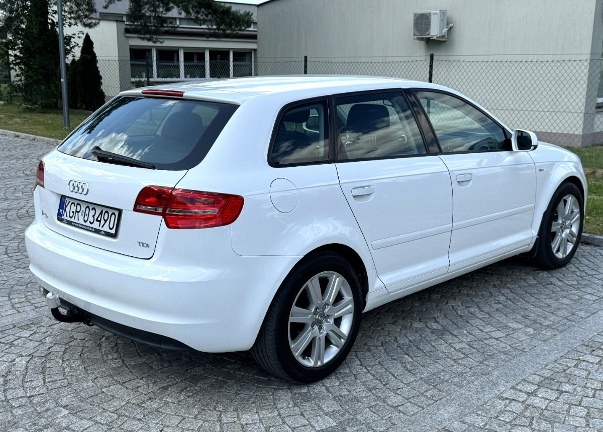 Audi A3 1.6 TDI 105KM Bezwypadkowy potwierdzony przebieg AUTO BARDZO ZADBANE - Automobil: Foto 3 Audi A3 1.6 TDI 105KM Bezwypadkowy potwierdzony przebieg AUTO BARDZO ZADBANE - Automobil: Foto 3
