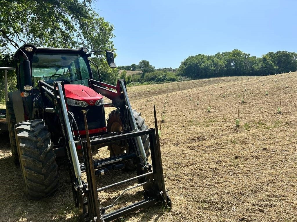 Massey Ferguson 5710 - Tractor agricol: Foto 2 Massey Ferguson 5710 - Tractor agricol: Foto 2
