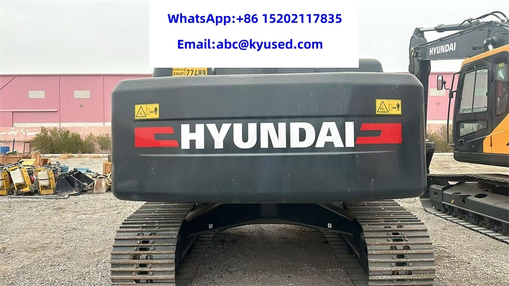 Excavator pe şenile HYUNDAI HX220S: Foto 13