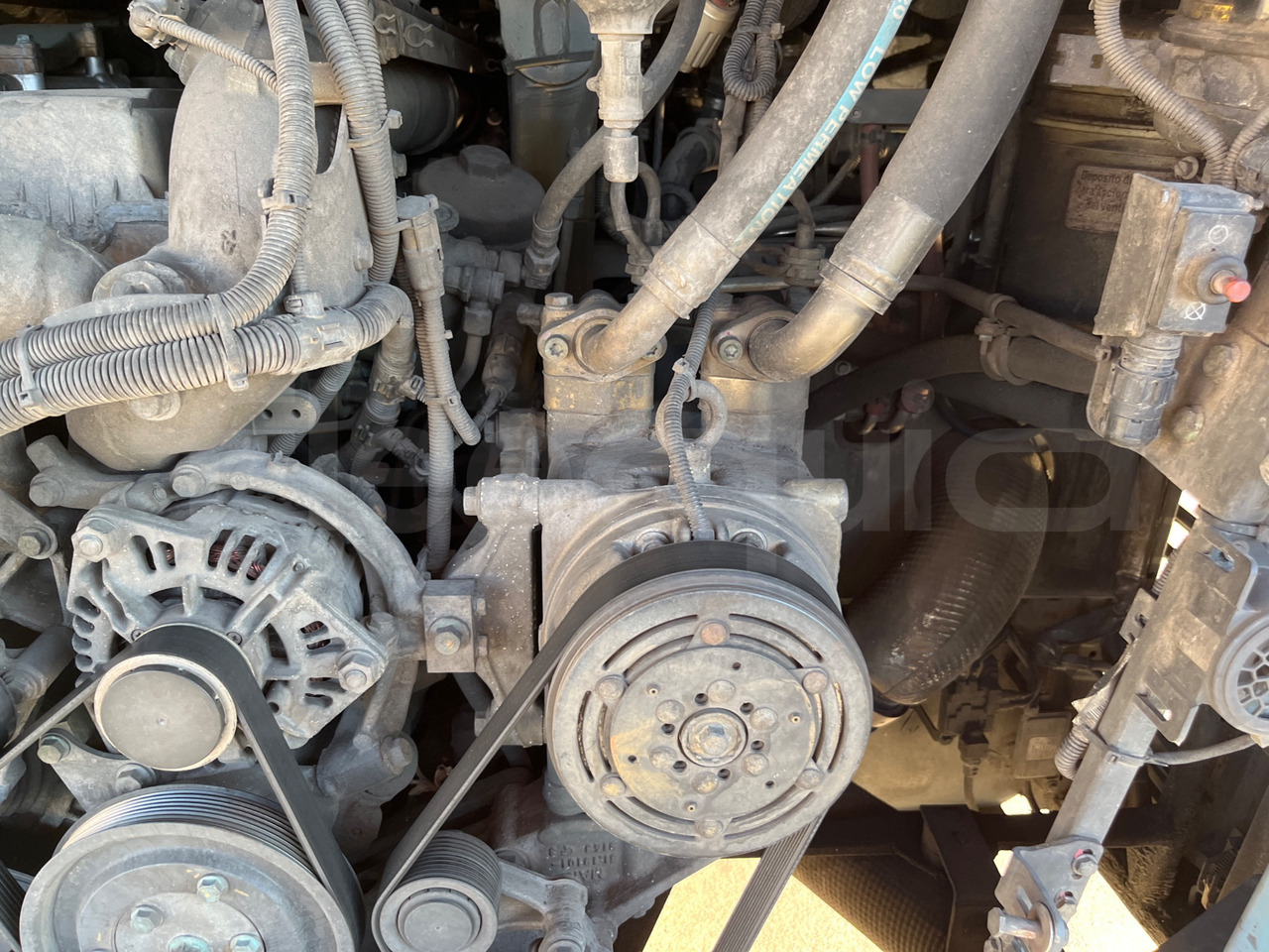 Autocar Man Lion's Coach: Foto 16 Autocar Man Lion's Coach: Foto 16