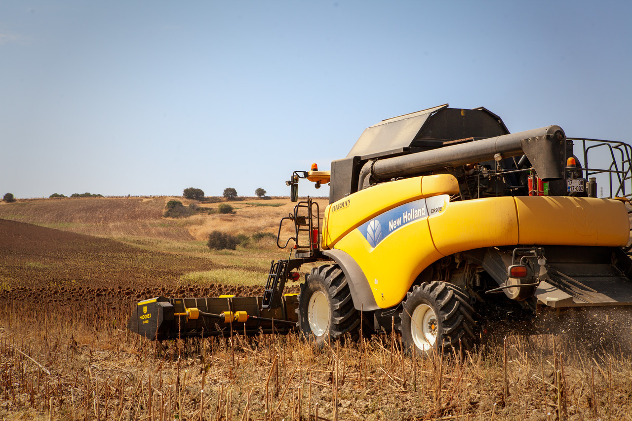 Modonex MX-630 - Echipament recoltat floarea soarelui: Foto 3 Modonex MX-630 - Echipament recoltat floarea soarelui: Foto 3