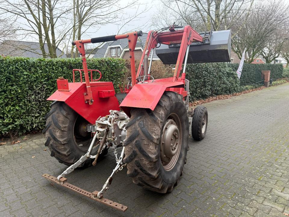 Trakor Massey Ferguson 65 mit Frontlader - Tractor agricol: Foto 3 Trakor Massey Ferguson 65 mit Frontlader - Tractor agricol: Foto 3