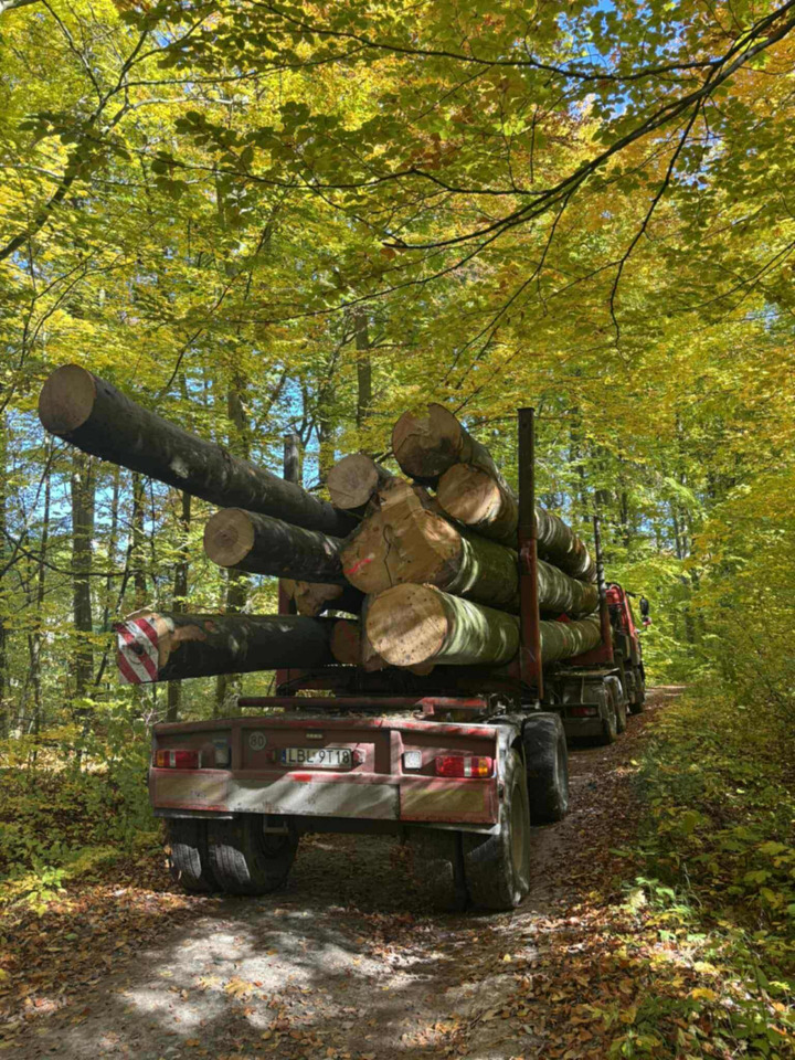 DAF CF510 - Camion forestier, Camion cu macara: Foto 3 DAF CF510 - Camion forestier, Camion cu macara: Foto 3