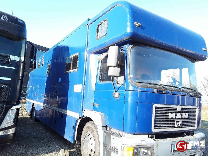 MAN 18.264 - Camion transport animale: Foto 3 MAN 18.264 - Camion transport animale: Foto 3