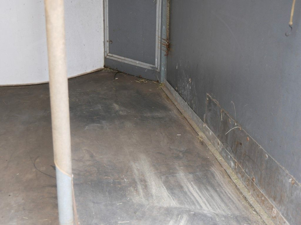 Westeria 2 Pferde Westeria 2 Pferde - Remorcă transport cai: Foto 5 Westeria 2 Pferde Westeria 2 Pferde - Remorcă transport cai: Foto 5