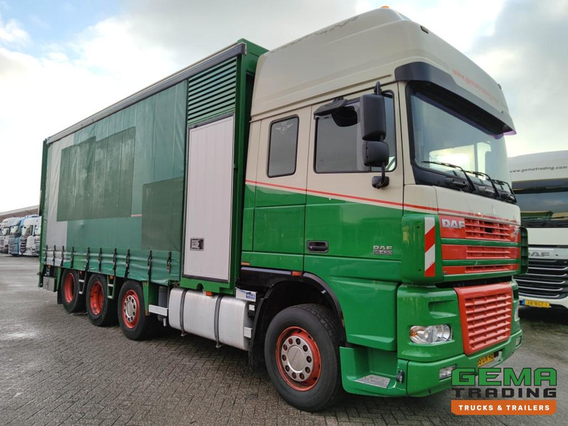 DAF FAK XF95.430 8x2 SuperSpaceCab Euro3 - CurtainSider 7.31m + Ramp 16T - MachineTransporter - 6 Persons (V558) - Camion transport auto: Foto 3 DAF FAK XF95.430 8x2 SuperSpaceCab Euro3 - CurtainSider 7.31m + Ramp 16T - MachineTransporter - 6 Persons (V558) - Camion transport auto: Foto 3