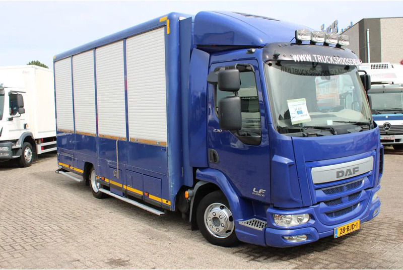 DAF LF 230 + EURO 6 - Camion transport animale: Foto 3 DAF LF 230 + EURO 6 - Camion transport animale: Foto 3