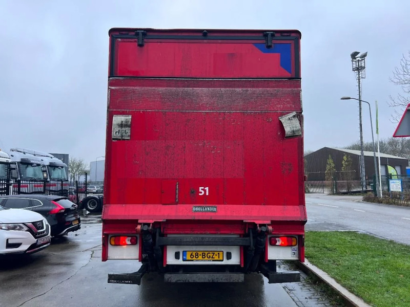 Volvo FL 250 4X2 EURO 6 599.111km DHOLLANDIA - Camion furgon: Foto 5 Volvo FL 250 4X2 EURO 6 599.111km DHOLLANDIA - Camion furgon: Foto 5