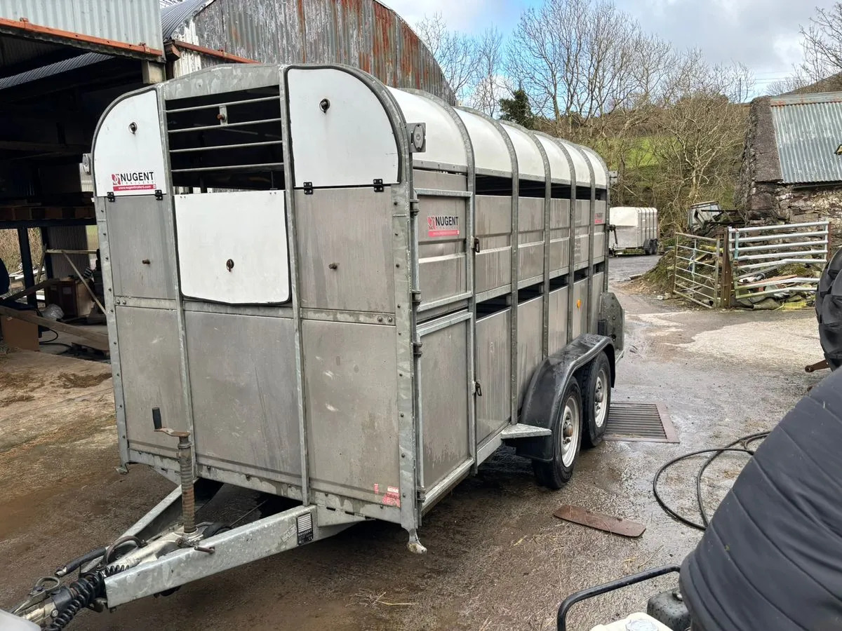 12X6 Nugent Livestock Trailer - Remorcă transport animale: Foto 2 12X6 Nugent Livestock Trailer - Remorcă transport animale: Foto 2