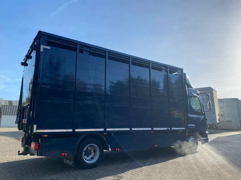 DAF LF 280 - Camion transport animale: Foto 3 DAF LF 280 - Camion transport animale: Foto 3