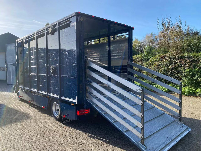 DAF LF 280 - Camion transport animale: Foto 5 DAF LF 280 - Camion transport animale: Foto 5