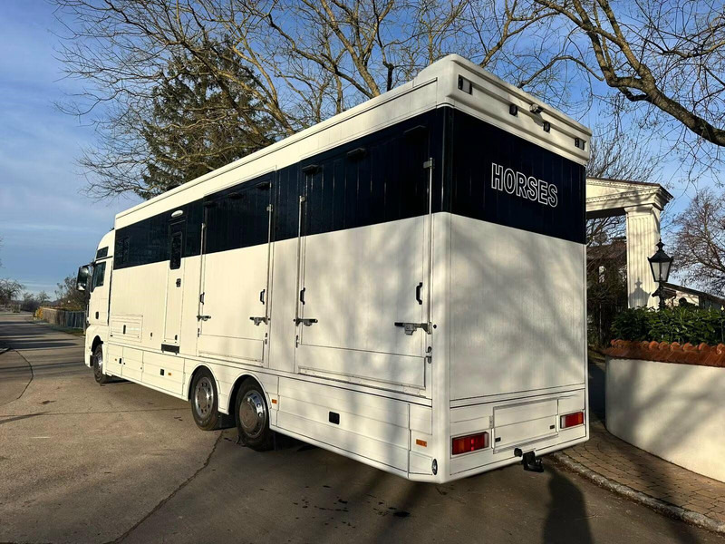 MAN TGX 26.440 - Horse transporter - Camion transport cai: Foto 4 MAN TGX 26.440 - Horse transporter - Camion transport cai: Foto 4