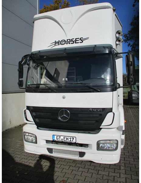 Mercedes-Benz Axor 1833 - Horse transporter - Camion transport cai: Foto 3 Mercedes-Benz Axor 1833 - Horse transporter - Camion transport cai: Foto 3