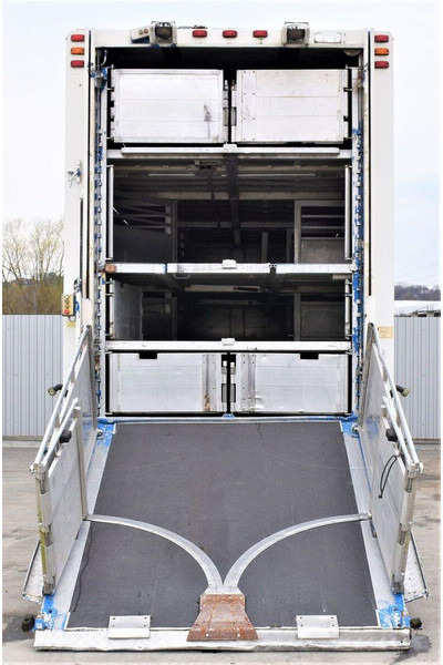 Scania R 500 - Camion transport animale: Foto 4 Scania R 500 - Camion transport animale: Foto 4