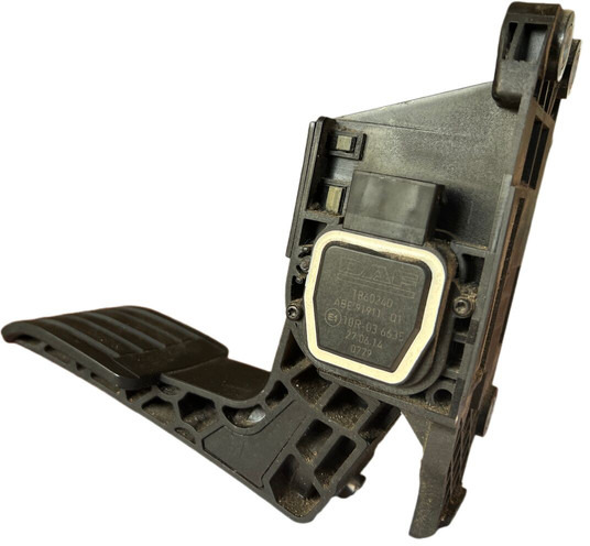 DAF 2015 - Pedala: Foto 1 DAF 2015 - Pedala: Foto 1