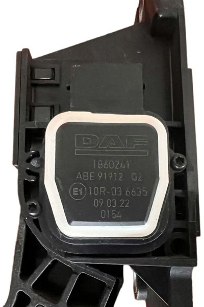 DAF - Pedala: Foto 4 DAF - Pedala: Foto 4