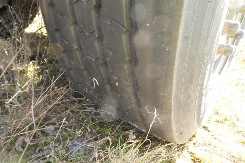 SCHMITZ GOTHA Abrollcontainernanhänger ACF 18 Containeranhänger S -Schlitten - Remorcă abroll/ Skiploader: Foto 5 SCHMITZ GOTHA Abrollcontainernanhänger ACF 18 Containeranhänger S -Schlitten - Remorcă abroll/ Skiploader: Foto 5