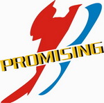 QINGDAO PROMISING INTERNATIONAL CO., LTD. pe Truck1